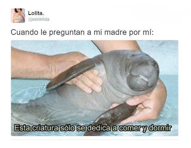 grandioso