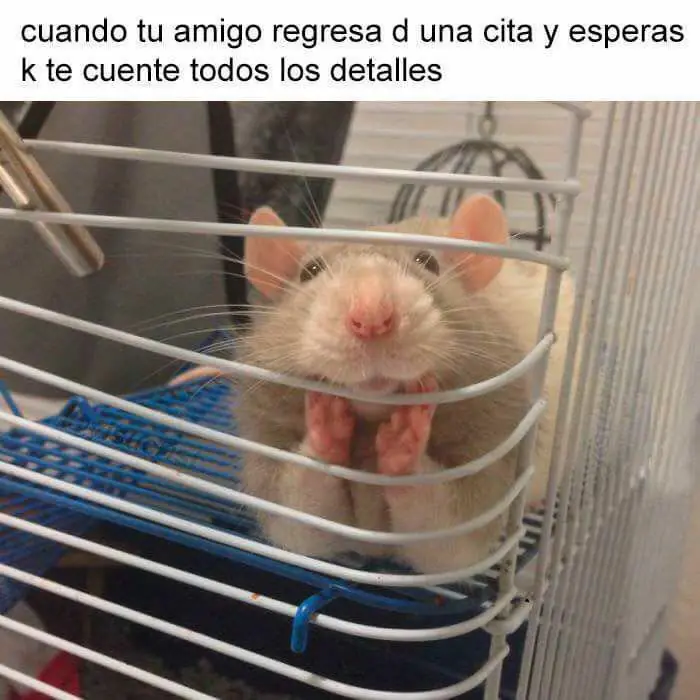 risas
