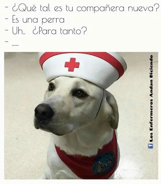 imagenes