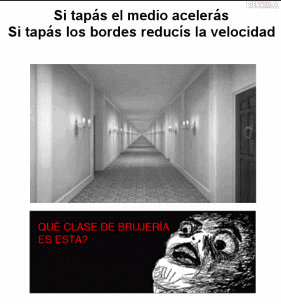para los linces