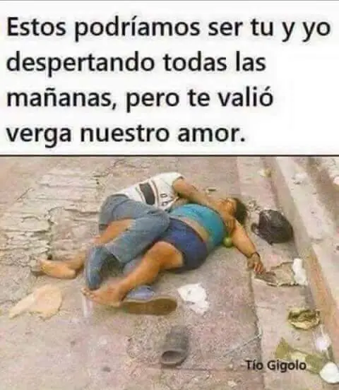 que no te podes perder