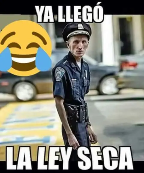 Divertimagenes que no te podes perder lince!
