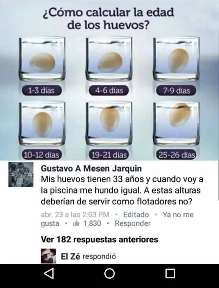 taringa