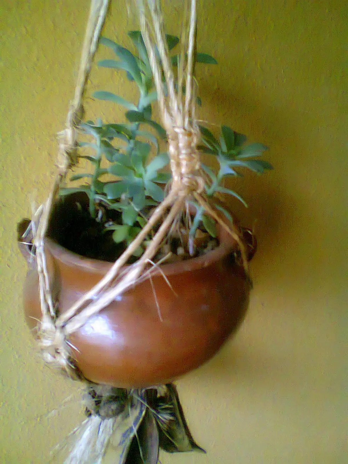 POTS