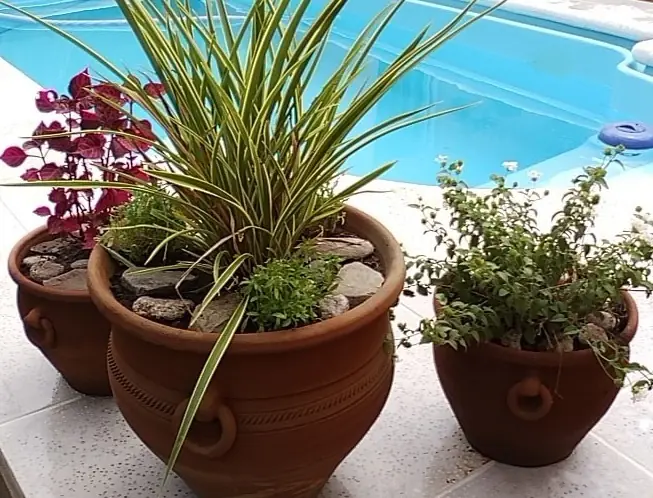 DECORATION