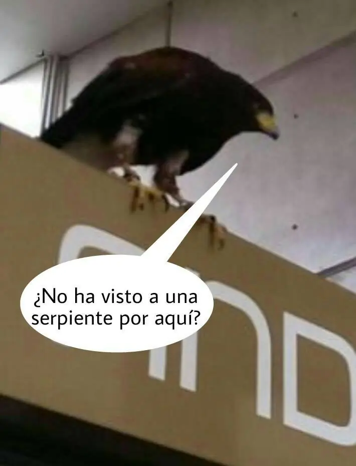 Lo mejor del humor mexicano parte 146