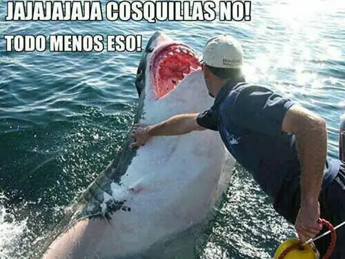 risas