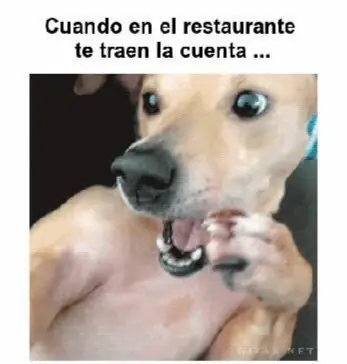 noche