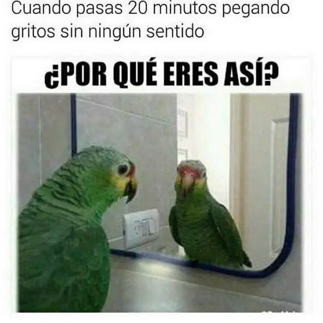 Humor dominguero 09