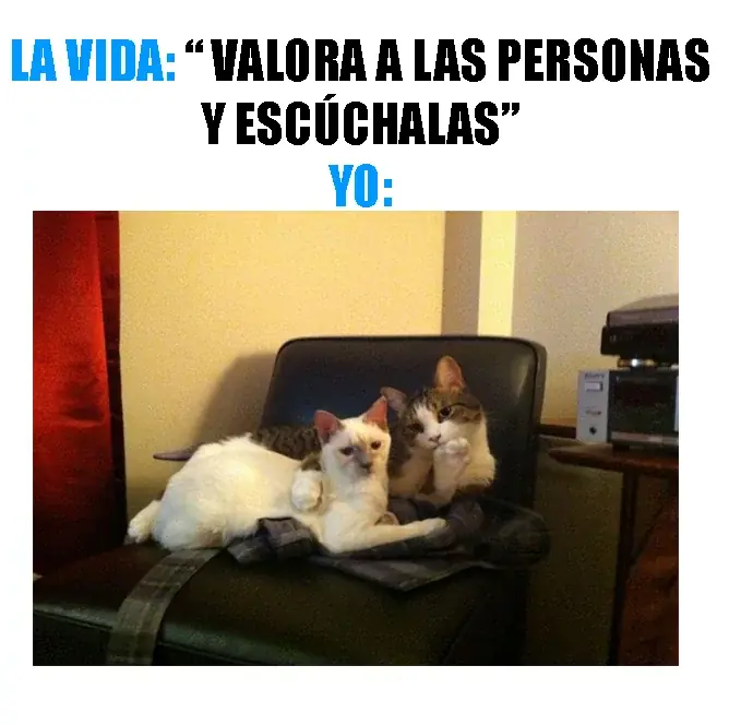 Un poco de humor para arrancar la semana!!