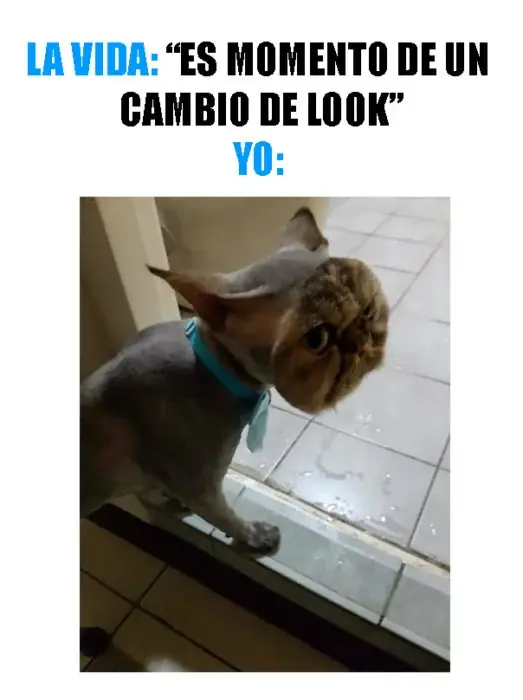 arranca