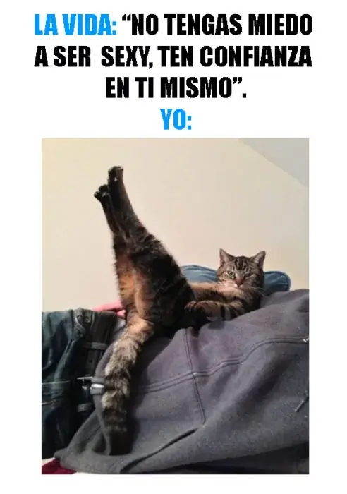 semana