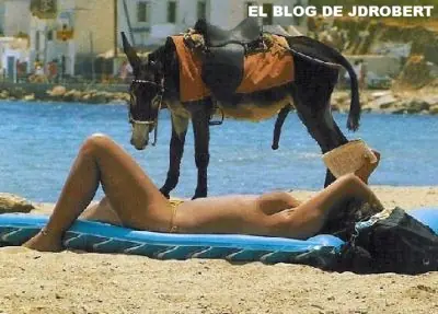 decir