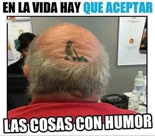 Divertimagenes que no te podes perder lince!