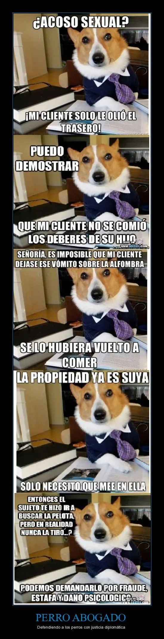 divertimagenes