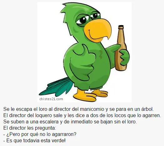humor