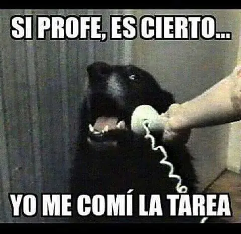 humor