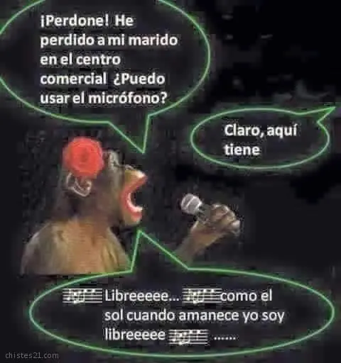 humor