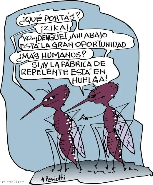 imagenes divertidas