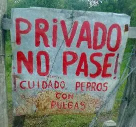 humor