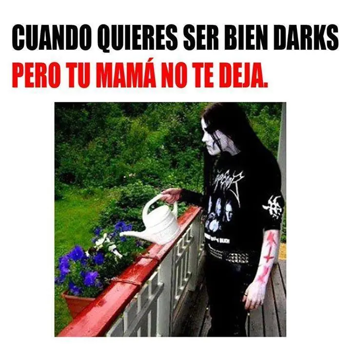 humor de viernes
