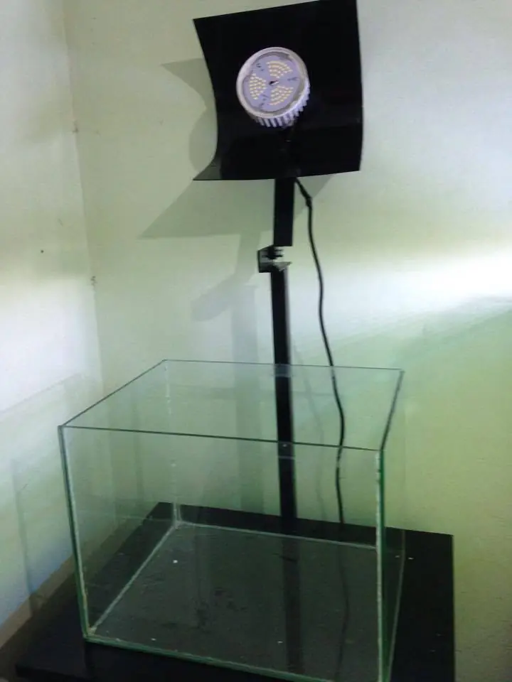 cubo cubo