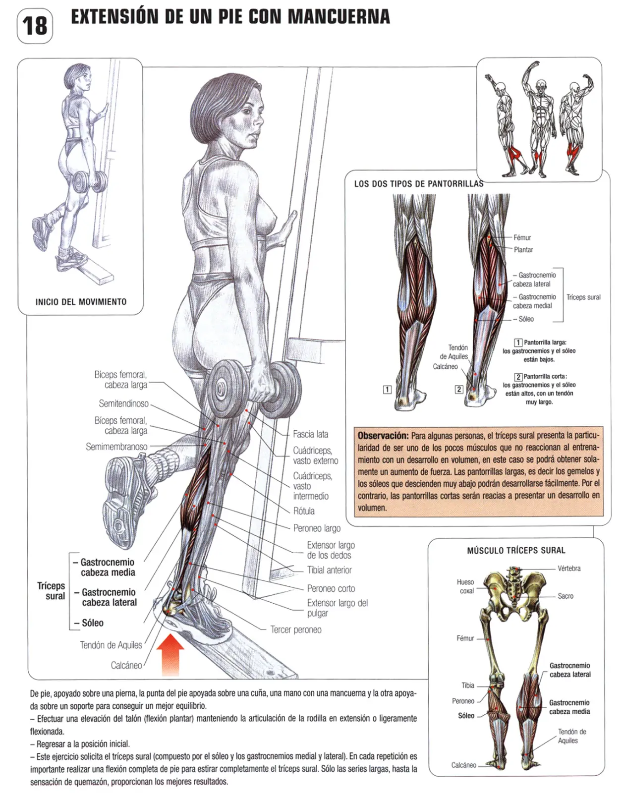gimnasio