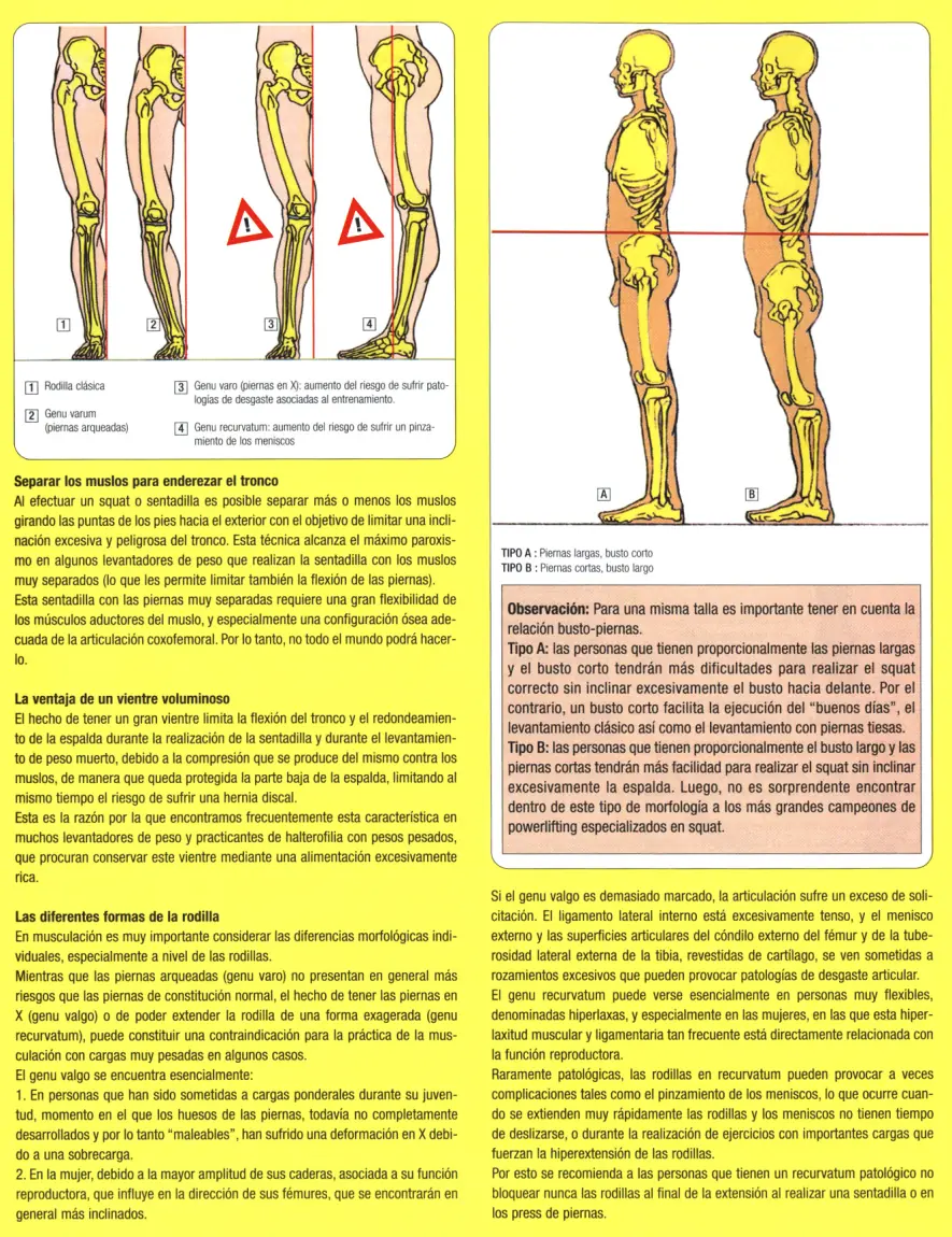 Guia de los movimientos en musculacion