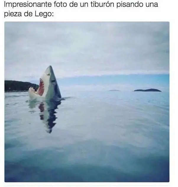 risas
