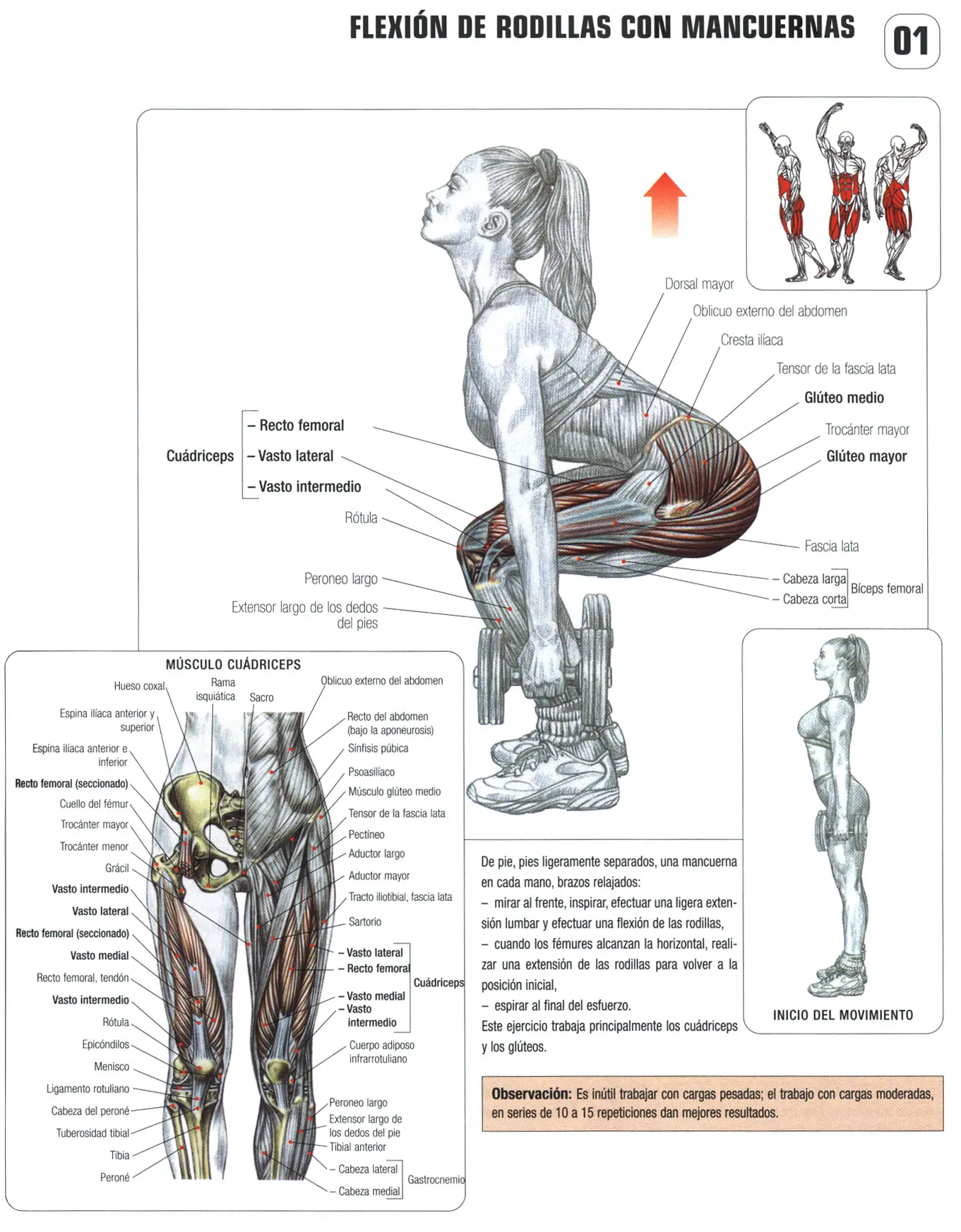 gimnasio