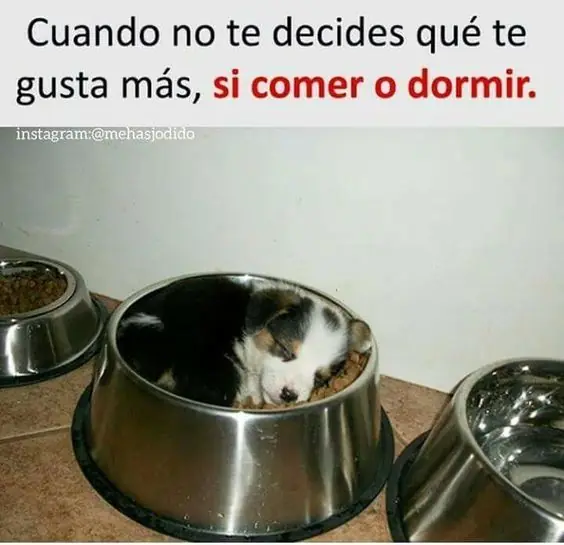 Humor dominguero nocturno