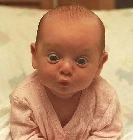 Hoy te vas a morir, y te lo muestro.