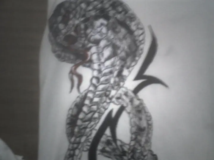 Dibujo Dibujo