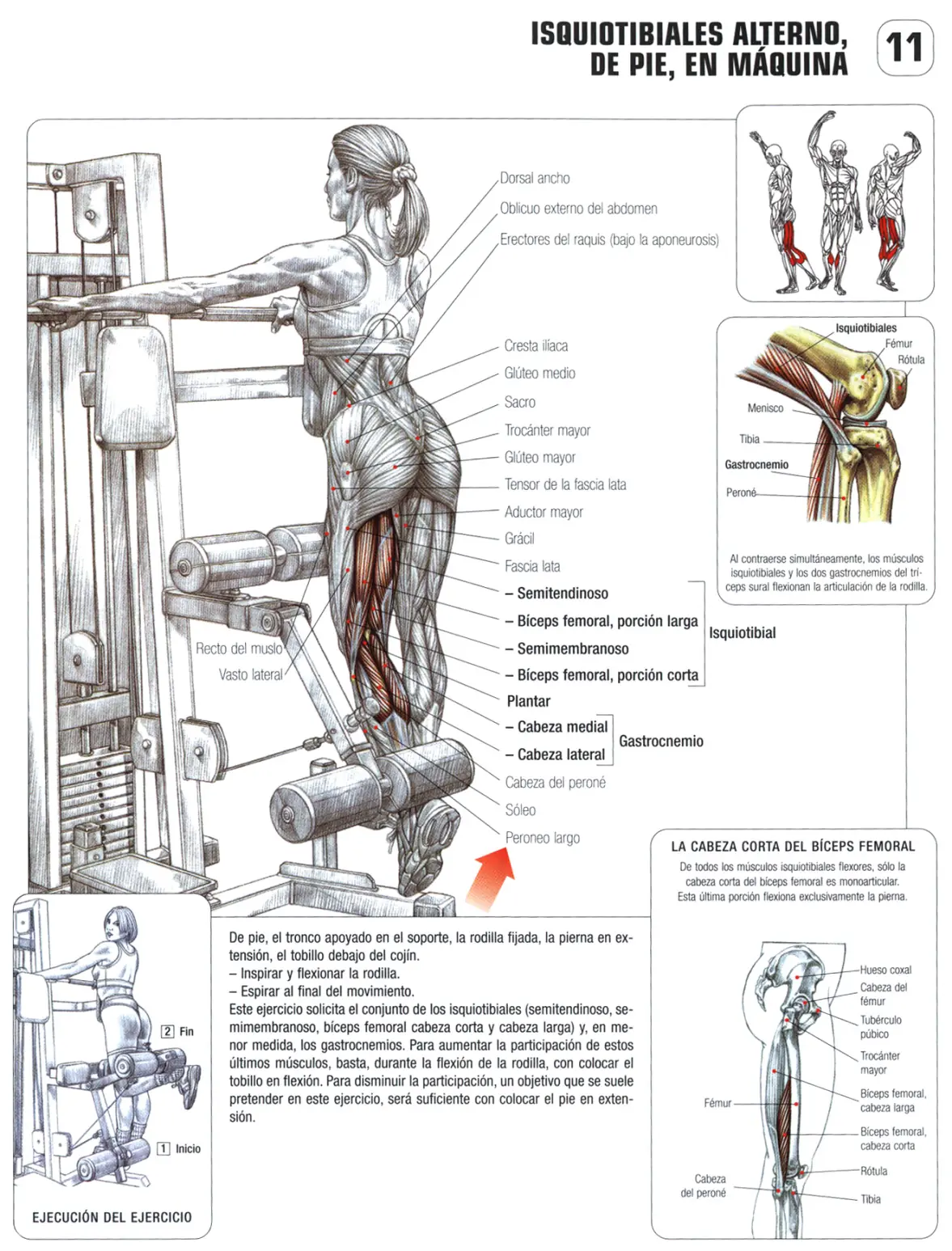 gimnasio