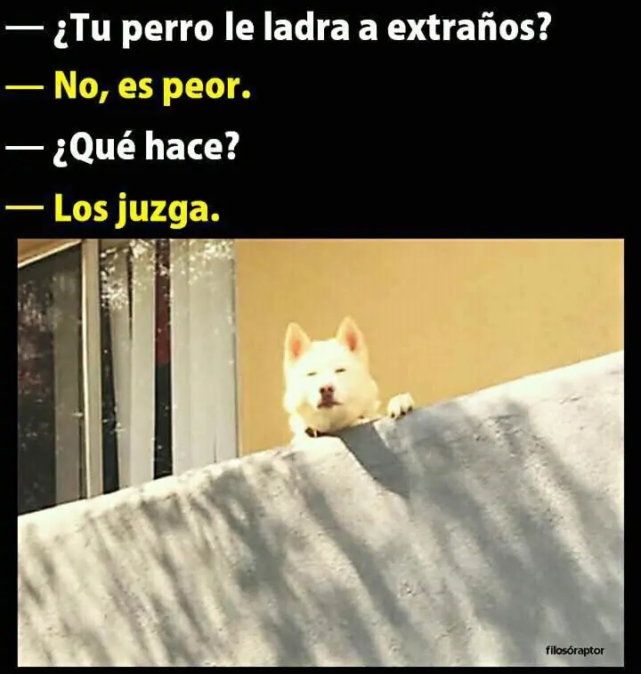 risas