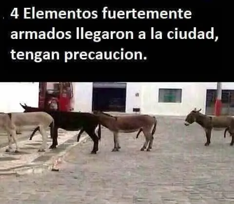 linces