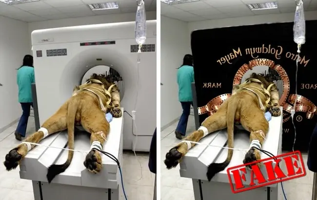 12 Famosas fotos que en realidad son falsas 12 Famosas fotos que en realidad son falsas