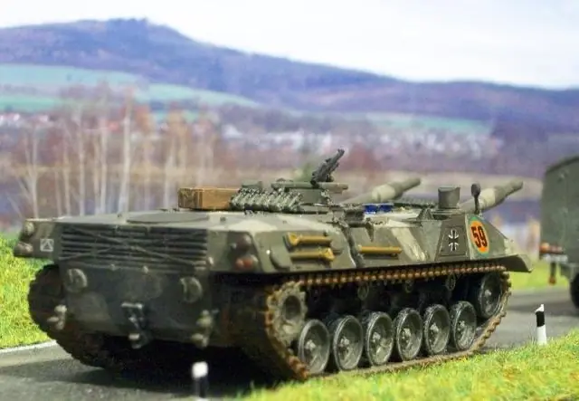 “leopard 3”