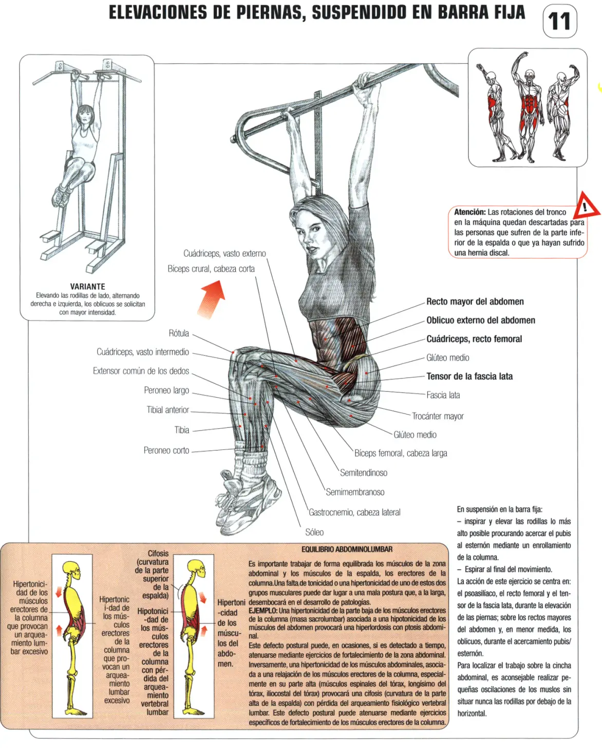 Guia de los movimientos de musculacion VII