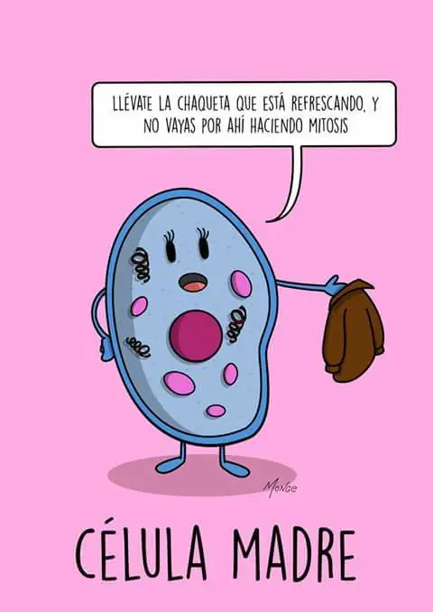 humor