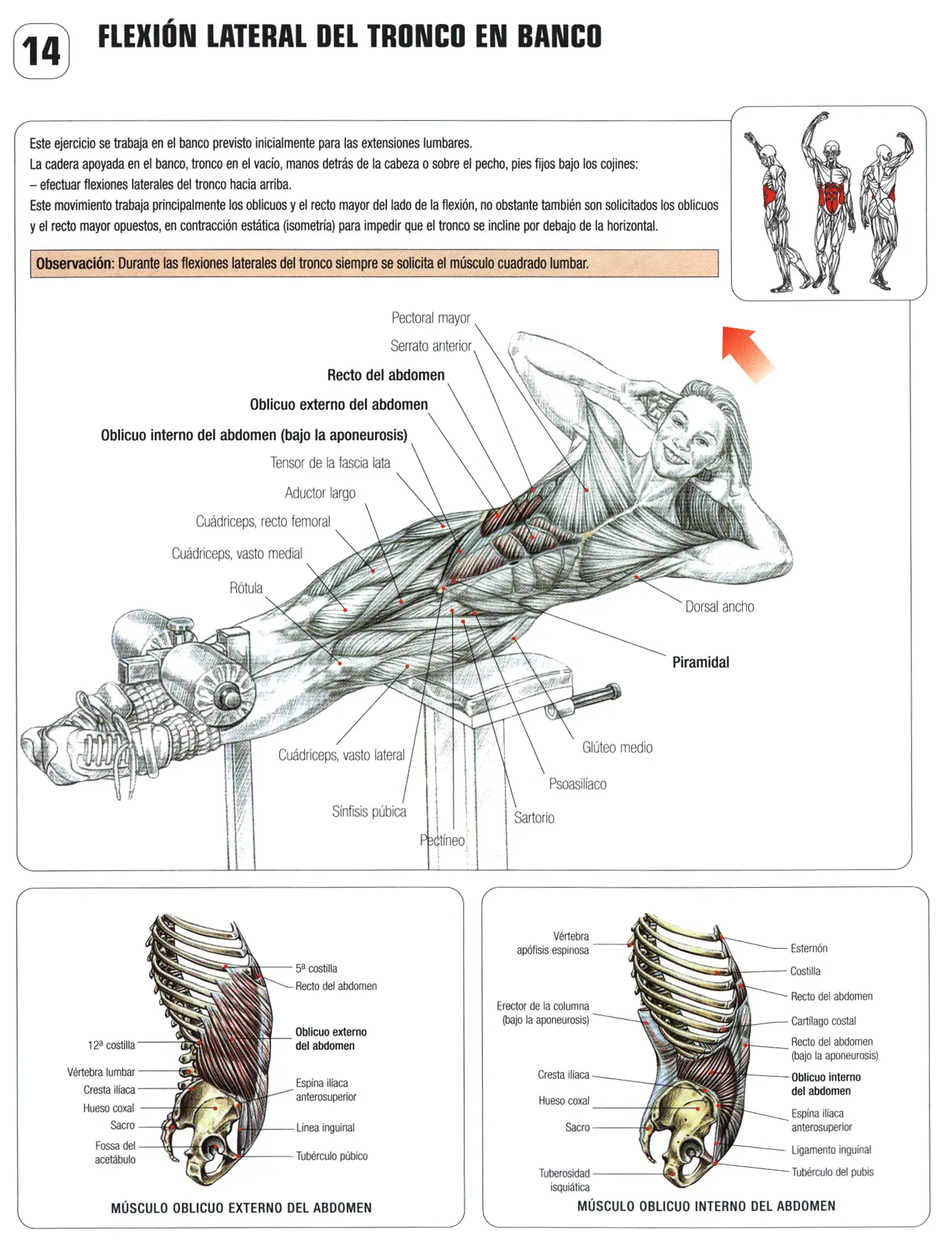 gimnasio