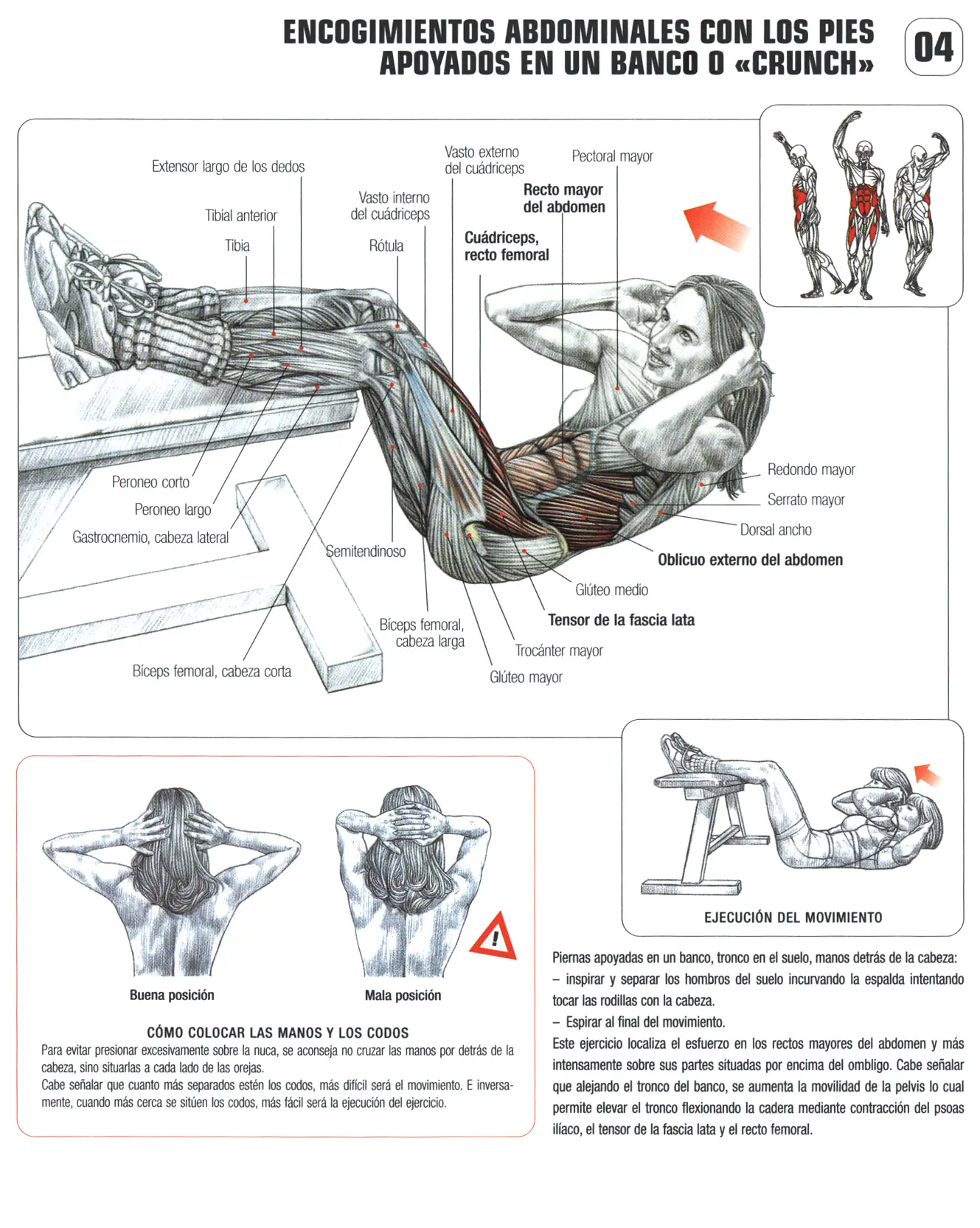gimnasio