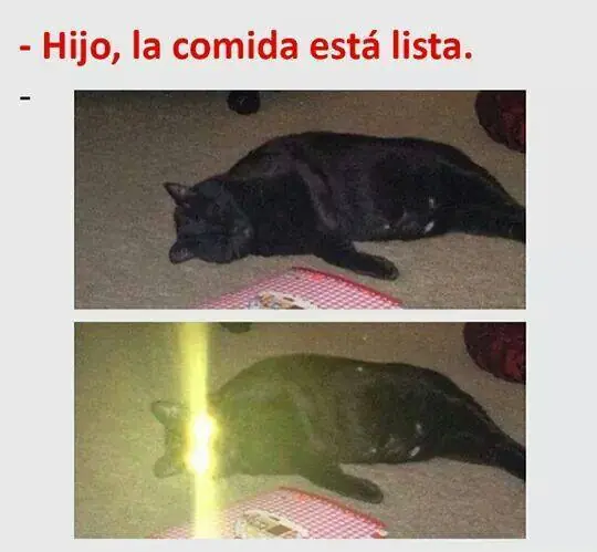 memes