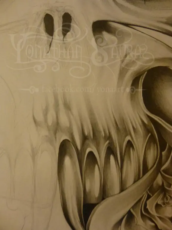 skull