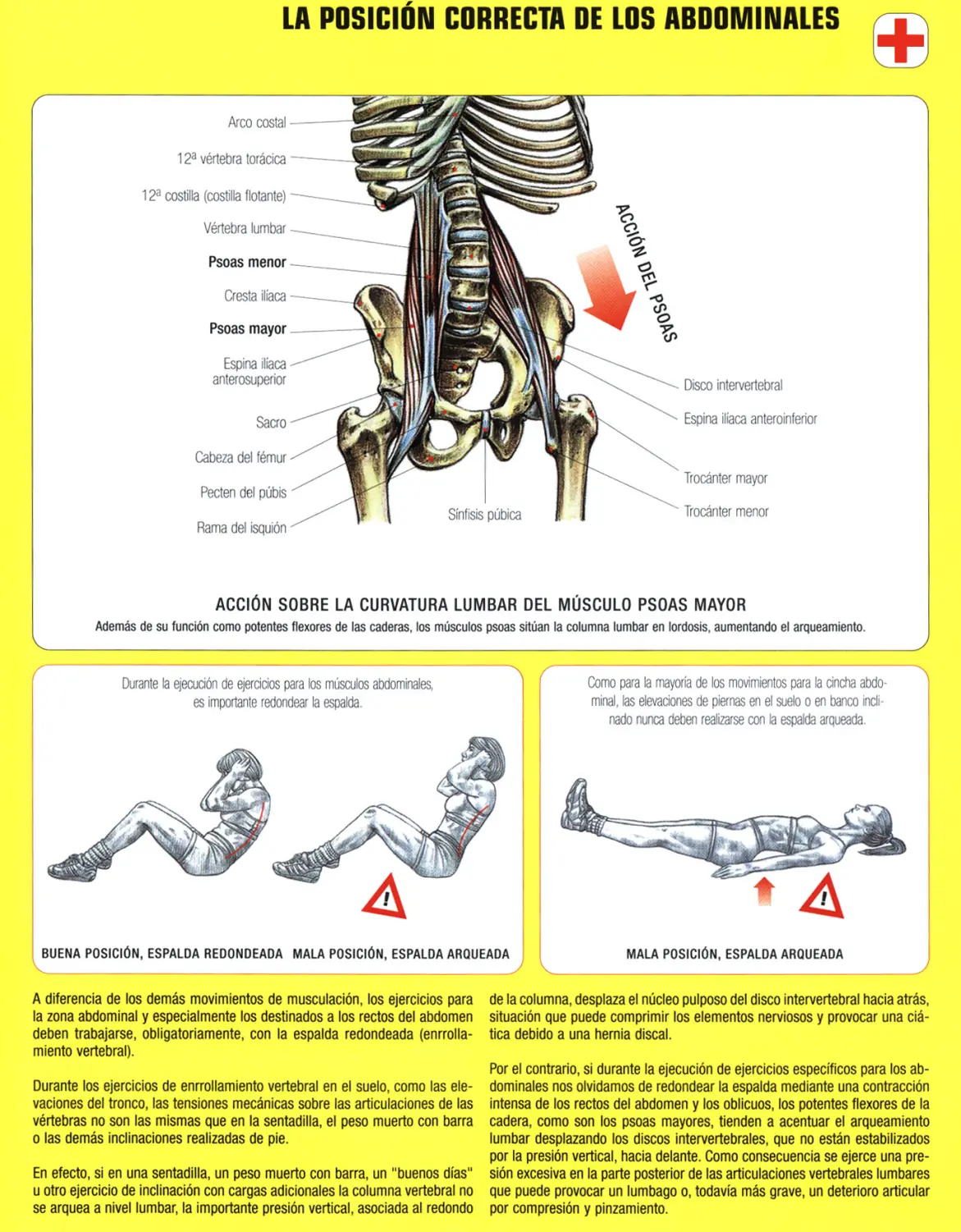 Guia de los movimientos de musculacion VII