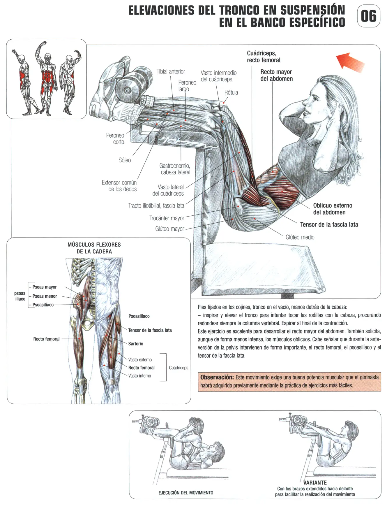 Guia de los movimientos de musculacion VII