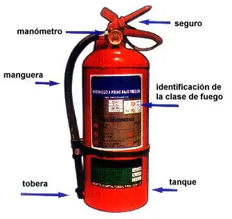 taringa taringa