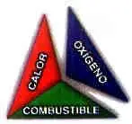 curiocidad curiocidad