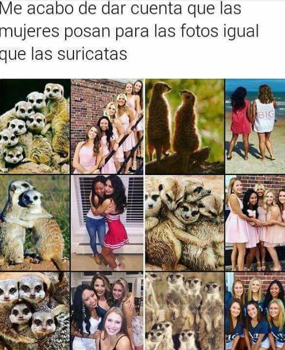 alegre