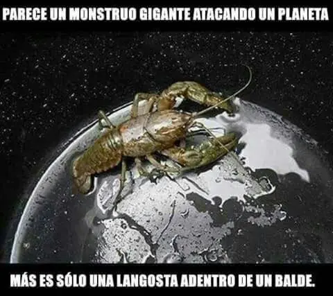 agradable